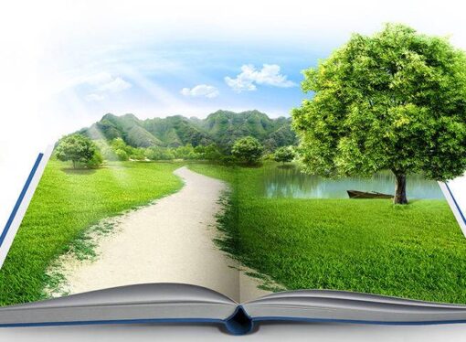 دلالة الأمر في القرآن الكريم وأثرها في اختلاف الفقهاء، بوسلهام هرو